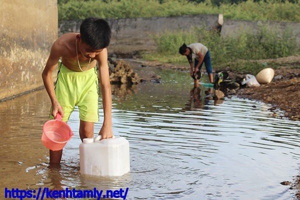 T&aacute;c động của nước thải chăn nu&ocirc;i