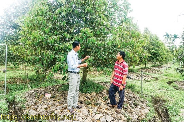 lợi &iacute;ch của xử l&yacute; nước thải chăn nu&ocirc;i