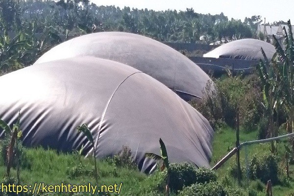 xử l&yacute; nước thải chăn nu&ocirc;i bằng phương ph&aacute;p biogas