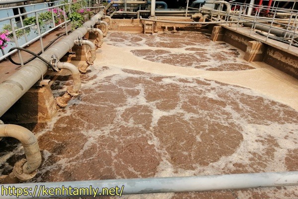 Xử l&yacute; nước thải chăn nu&ocirc;i bằng b&ugrave;n hoạt t&iacute;nh
