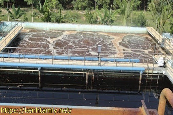 xử l&yacute; nước thải chăn nu&ocirc;i bằng phương ph&aacute;p oxy h&oacute;a
