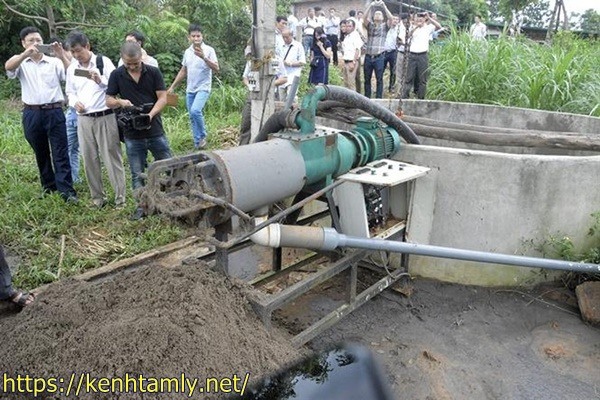 xử l&yacute; nước thải chăn nu&ocirc;i bằng ủ hữu cơ
