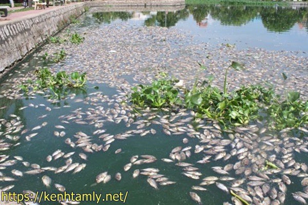 ảnh hưởng của chất thải nguy hại đến môi trường