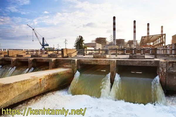 ảnh hưởng của nước thải c&ocirc;ng nghiệp