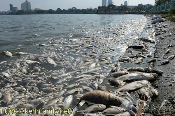 t&aacute;c hại nước thải c&ocirc;ng nghiệp