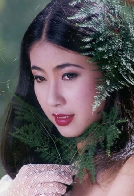 Nét đẹp của Hà Kiều Anh lúc trẻ