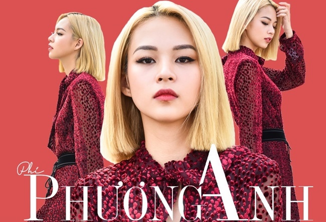 Tiểu sử Ph&iacute; Phương Anh