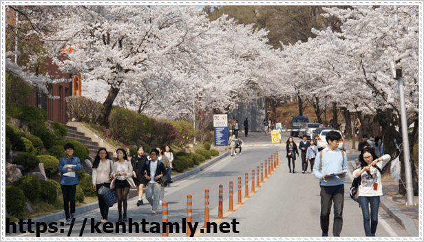 T&igrave;m hiểu về c&aacute;ch học tiếng H&agrave;n để đi du lịch