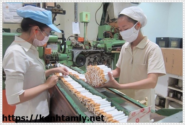 Vấn đề &ocirc; nhiễm nh&agrave; m&aacute;y sản xuất thuốc l&aacute;