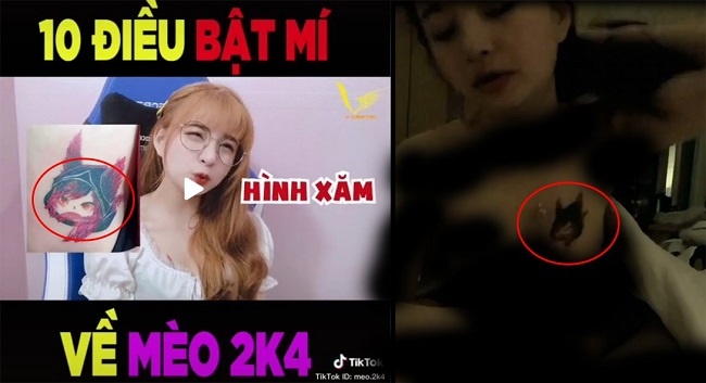 clip M&egrave;o 2k4 1