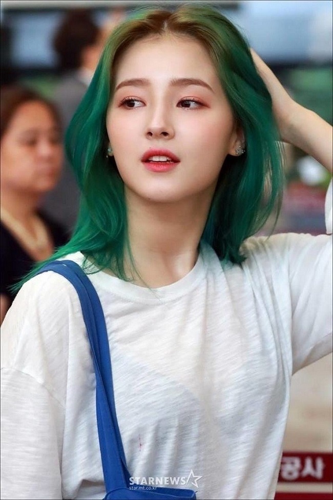 clip nancy 13