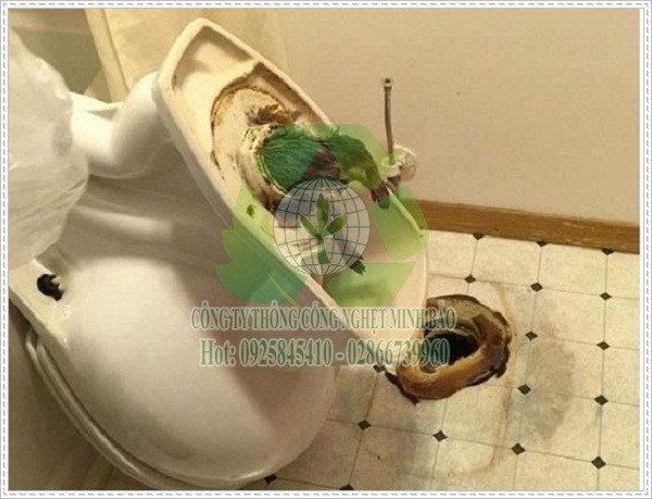 Xử l&yacute; bồn cầu bị &uacute;a v&agrave;ng.