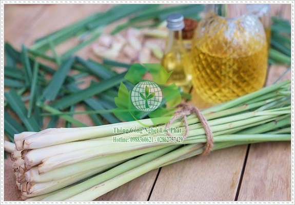 Sử dụng tinh dầu tự nhi&ecirc;n